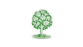 Thomson Landscapes Thomson Landscapes