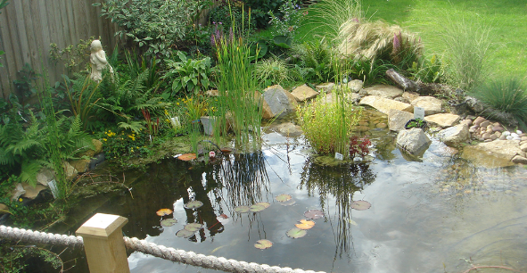 Ponds & Water Features