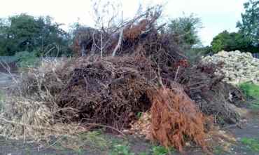 Garden Clearance