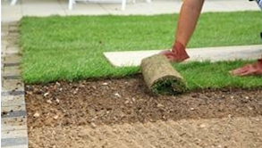 Lawn Turfing & Seeding