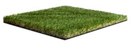 Artificial Grass