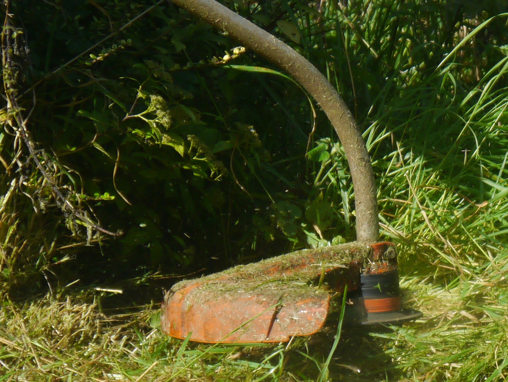 Garden Clearance