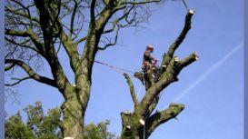 Stockport Tree Surgeon