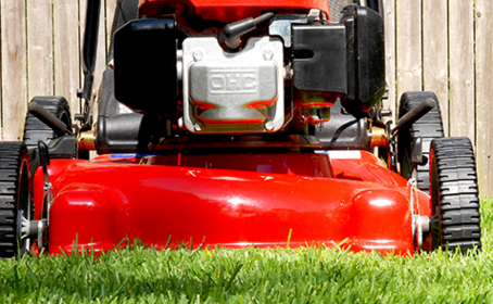 Grass Cutting & General Maintenance