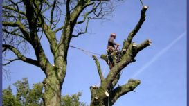 Swansea Tree Surgeon