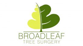 Broadleaf Tree Surgery