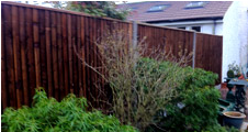 Closeboard Fencing