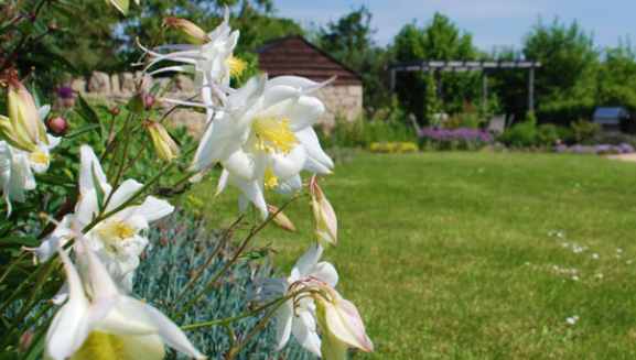 Garden Design 0 Garden Design