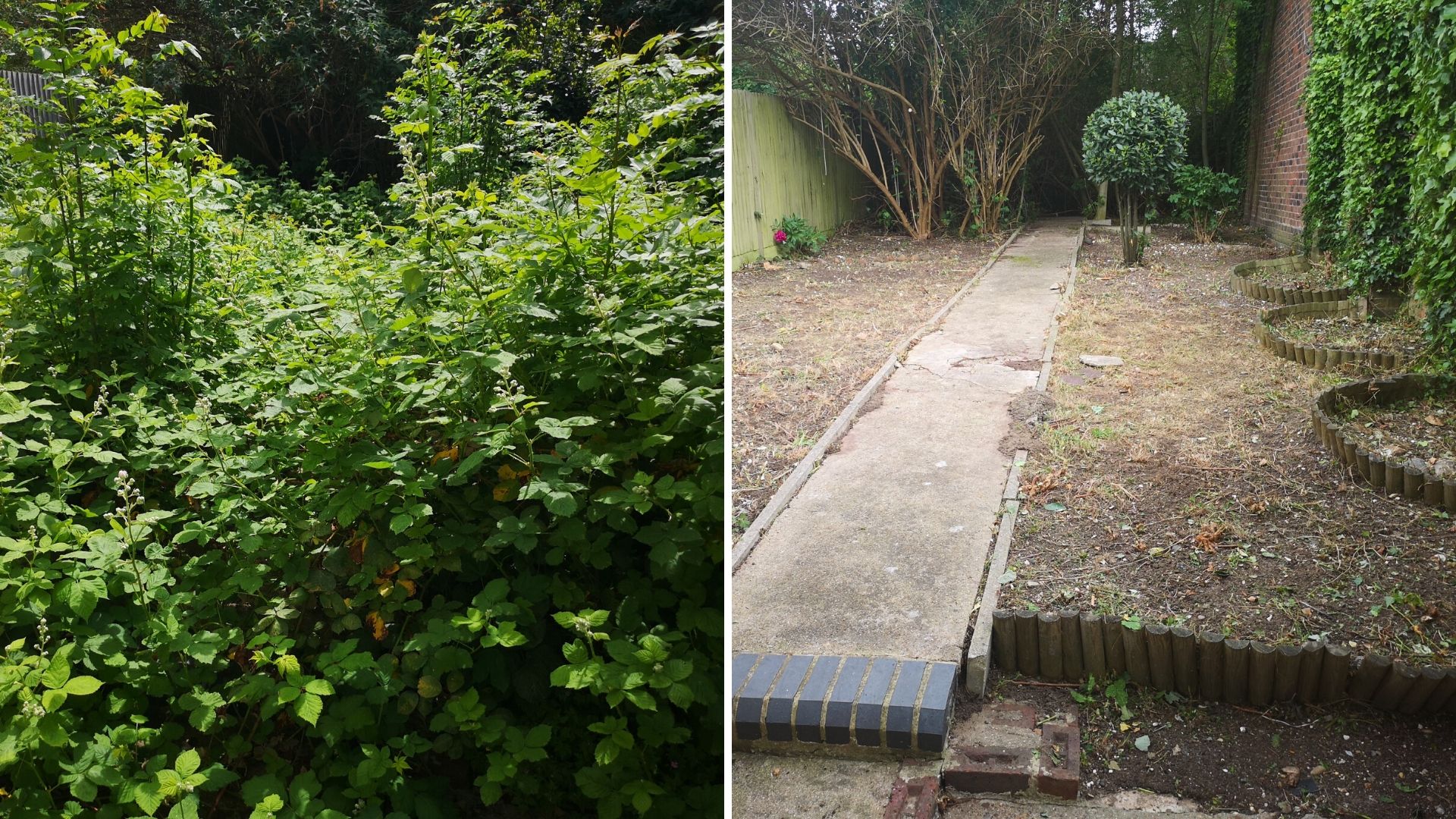 Garden clearance South London