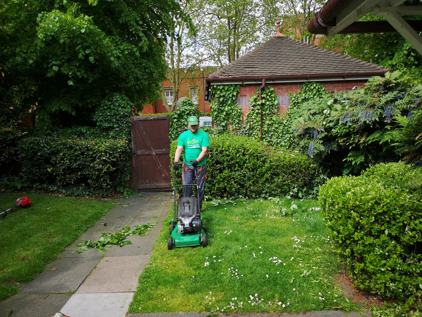 Lawn care and mowing South London