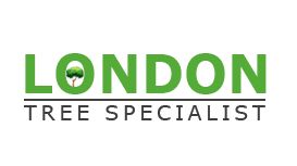 London Tree Specialist