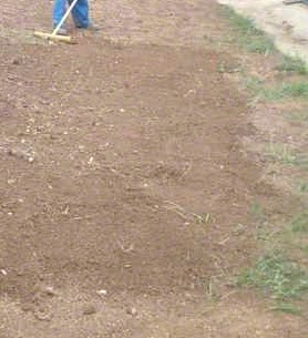 Our Grass seeding & fertilizing services