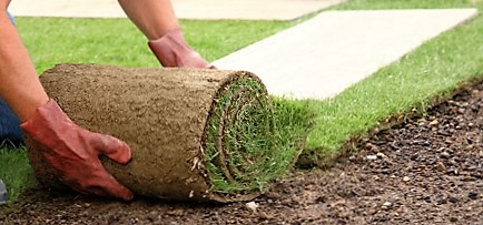 Our Garden turfing services