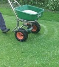 Our Grass seeding & fertilizing services