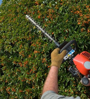 Garden mainteneance services which we offer