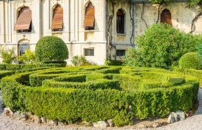 Landscaped Outdoor Space 0 Landscaped Outdoor Space