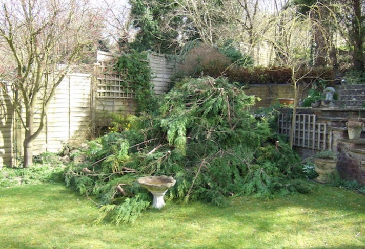 Garden Clearance