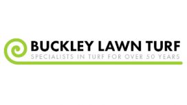 Buckley Lawn Turf