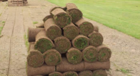 Commercial Turf