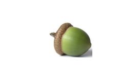 Acorn Garden Services Acorn Garden Services