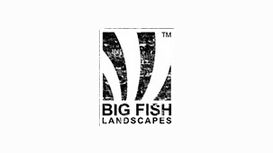 Big Fish Landscapes