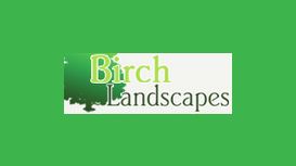 Birch Landscapes