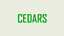 Cedars Landscapes