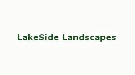 Lakeside Landscapes Surrey