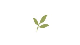 Newquay Garden Maintenance Newquay Garden Maintenance