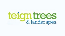 Teign Trees & Landscapes